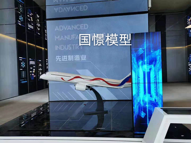 德江县飞机模型