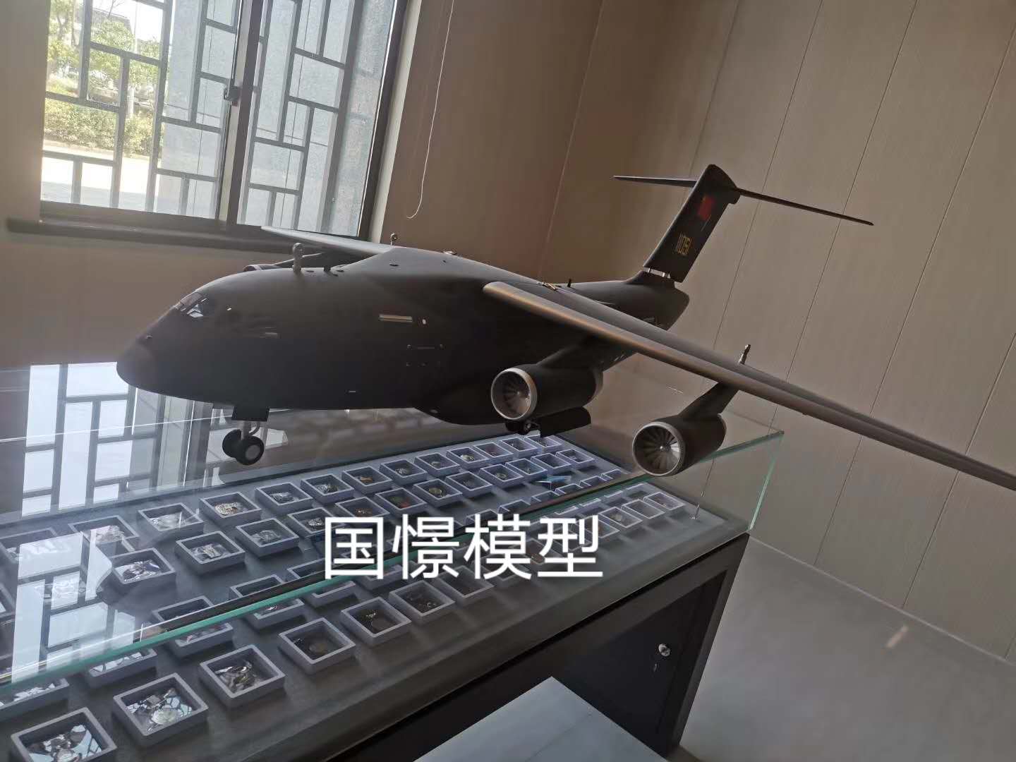 德江县飞机模型