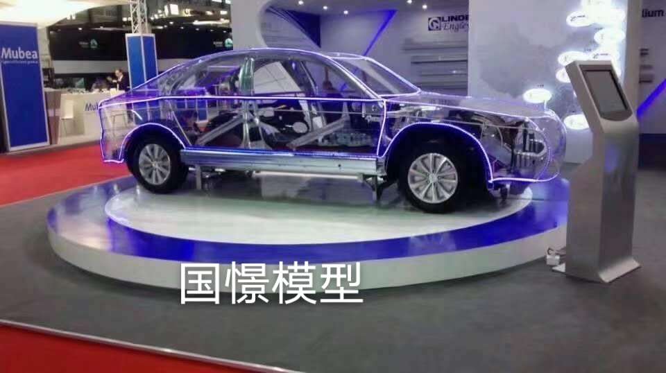 德江县透明车模型