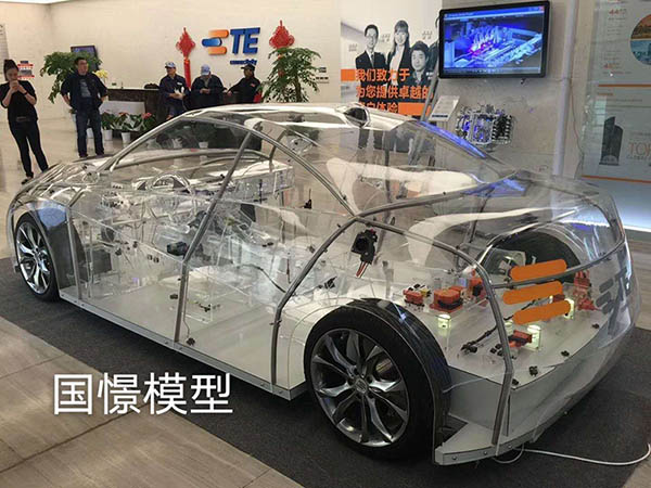 德江县透明车模型